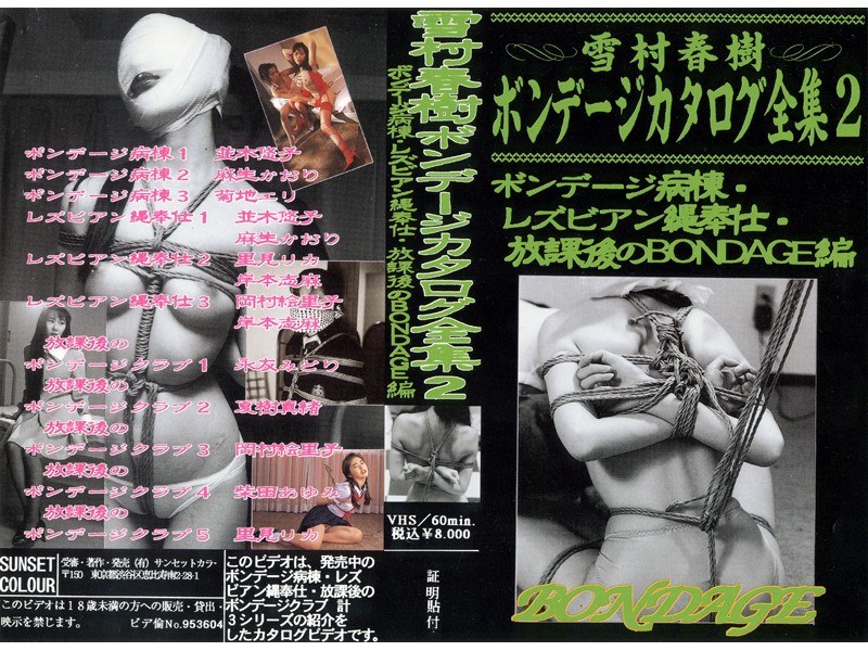 Yukimura Haruki Bondage Catalog Complete Works 2