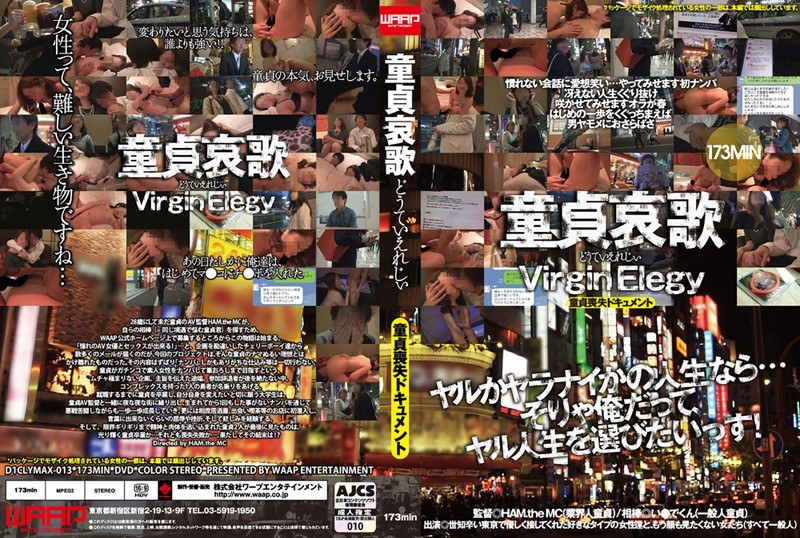 童貞哀歌 Virgin Elegy ～童貞喪失ドキュメント～