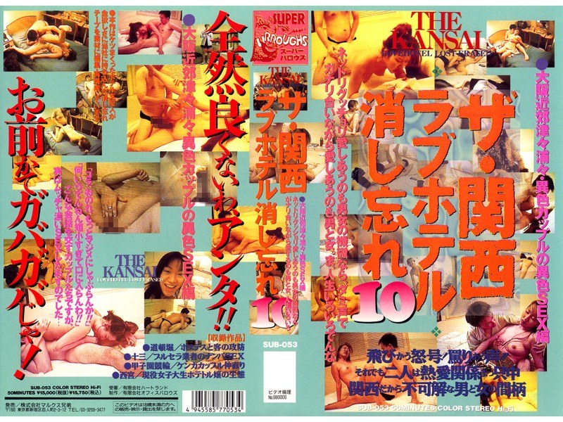 The Kansai Love Hotel 10