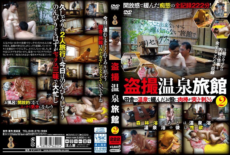 Voyeur Hot Spring Inn 2