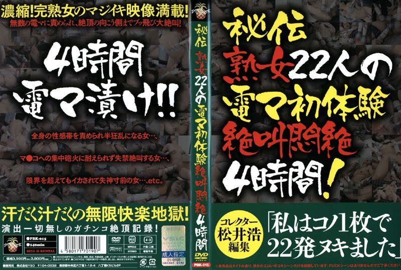 秘伝 熟女22人の電マ初体験絶叫悶絶4時間