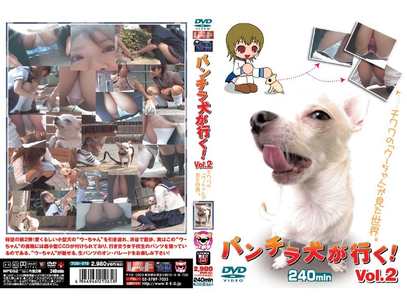 パンチラ犬が行く！ Vol.2