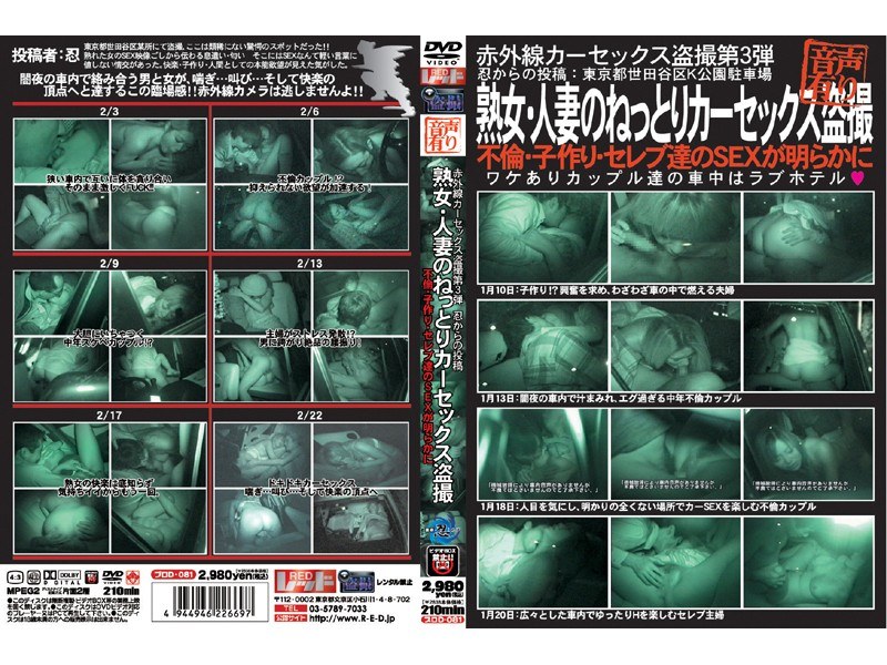 実録！カーSEX赤外線盗撮 第3弾